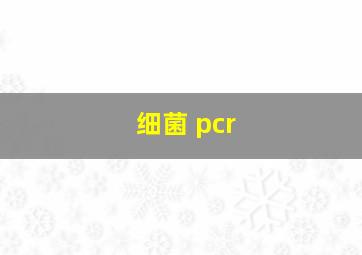 细菌 pcr